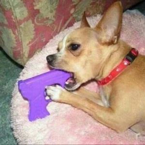 Meet your Posher, Leonardo